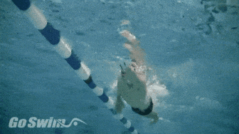 yLWHn, 求速度的情, 也是唯一适